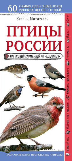 Птицы России. Наглядный карманный определитель - Митителло Ксения