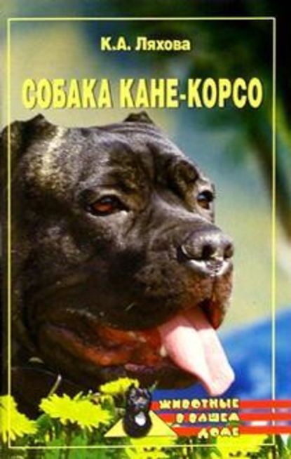 Собака Кане-Корсо - Кристина Ляхова