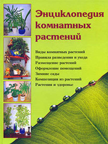 Энциклопедия комнатных растений — Наталья Шешко