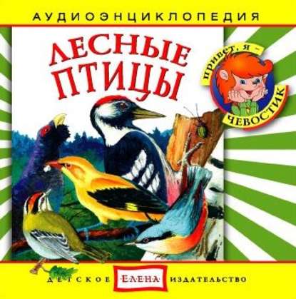 Лесные птицы - Детское издательство Елена