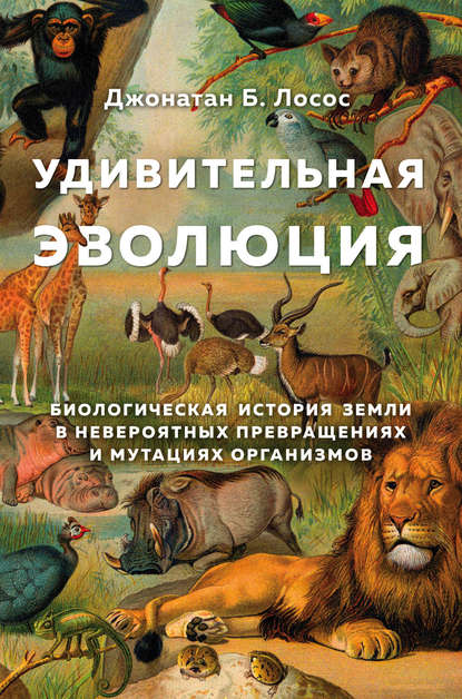 Удивительная эволюция. Биологическая история Земли в невероятных превращениях и мутациях организмов — Джонатан Б. Лосос