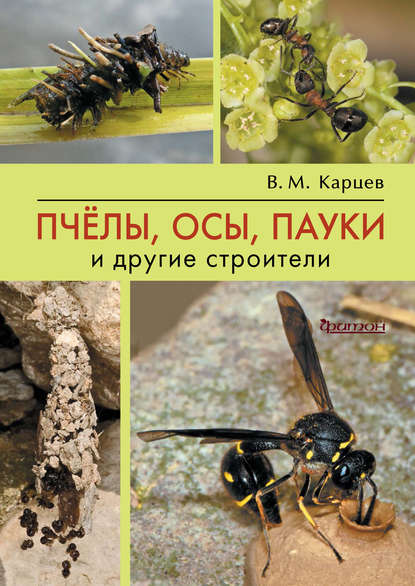 Пчёлы, осы, пауки и другие строители - Владимир Карцев
