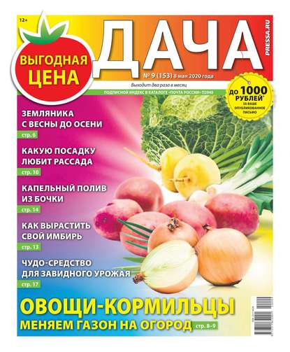 Дача Pressa.ru 09-2020 — Редакция газеты Дача Pressa.ru