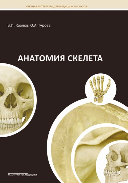 Анатомия скелета - Ольга Гурова