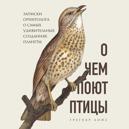 О чем поют птицы. Записки орнитолога о самых удивительных созданиях планеты — Грегуар Лоис