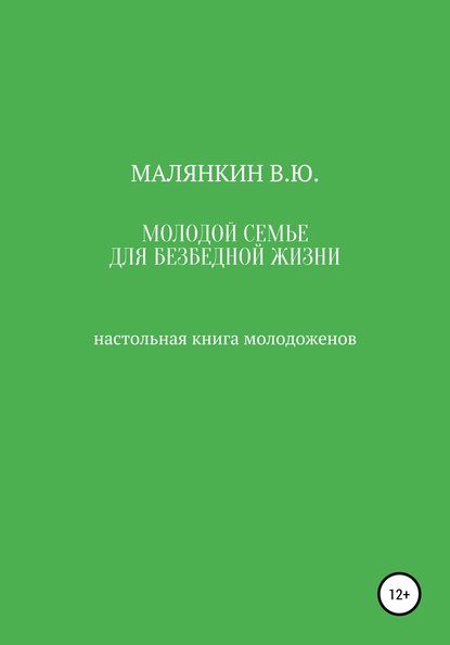 Молодой семье для безбедной жизни. Настольная книга молодоженов - Владимир Юрьевич Малянкин