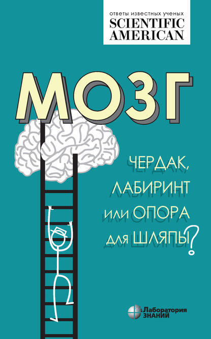 Мозг: чердак, лабиринт или опора для шляпы? - Группа авторов