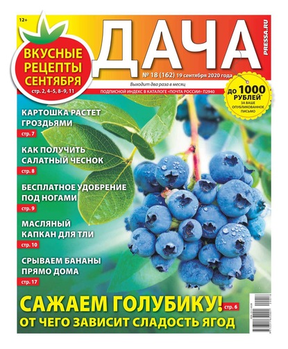 Дача Pressa.ru 18-2020 - Редакция газеты Дача Pressa.ru