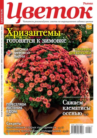 Цветок 18-2020 - Редакция журнала Цветок