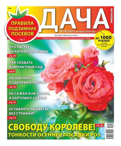 Дача Pressa.ru 19-2020 - Редакция газеты Дача Pressa.ru
