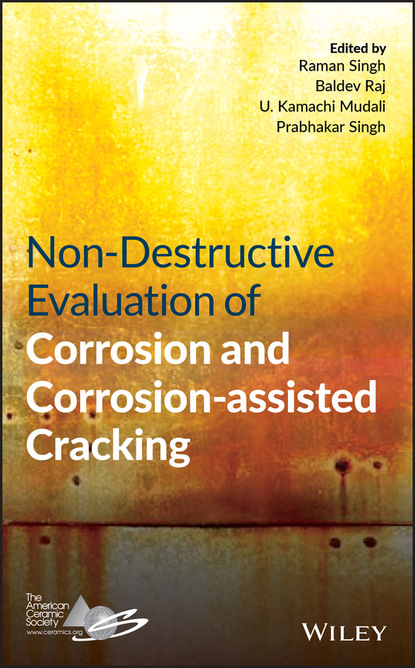 Non-Destructive Evaluation of Corrosion and Corrosion-assisted Cracking - Группа авторов