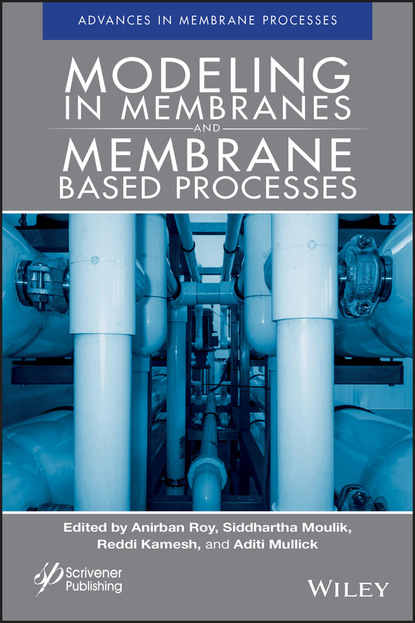 Modeling in Membranes and Membrane-Based Processes - Группа авторов