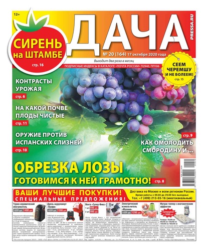 Дача Pressa.ru 20-2020 - Редакция газеты Дача Pressa.ru