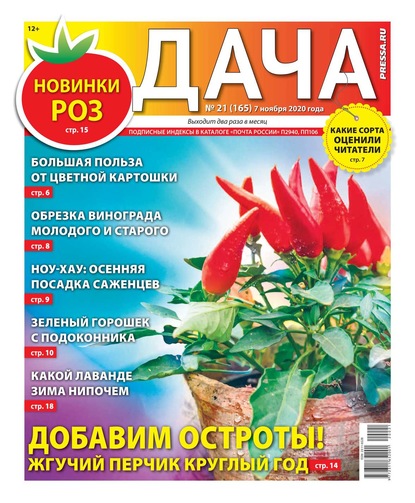 Дача Pressa.ru 21-2020 - Редакция газеты Дача Pressa.ru