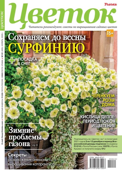 Цветок 22-2020 - Редакция журнала Цветок
