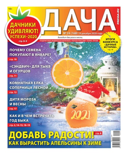 Дача Pressa.ru 24-2020 - Редакция газеты Дача Pressa.ru