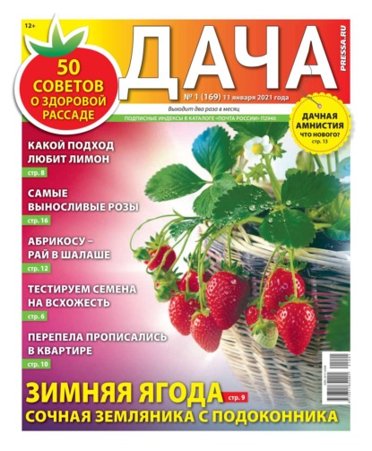 Дача Pressa.ru 01-2021 — Редакция газеты Дача Pressa.ru