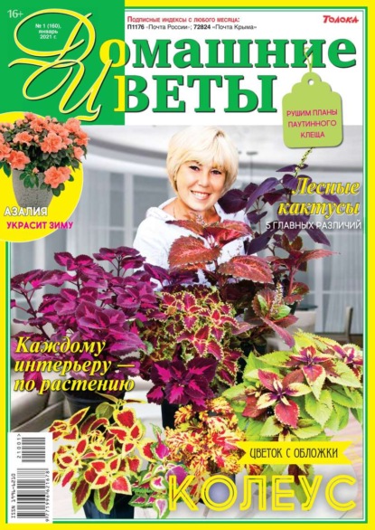 Домашние Цветы 01-2021 — Редакция журнала Домашние Цветы