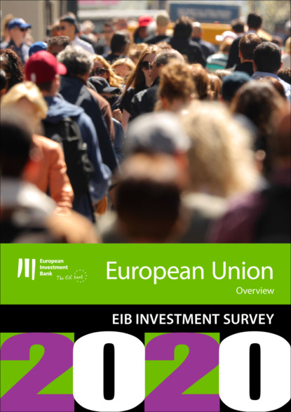 EIB Group Survey on  Investment and Investment Finance 2020: EU overview - Группа авторов