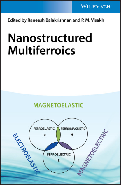 Nanostructured Multiferroics - Группа авторов