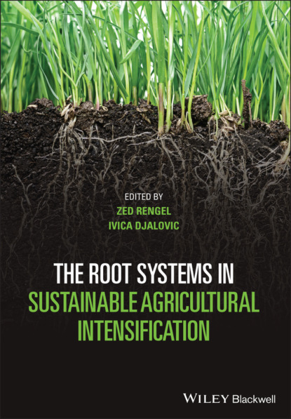 The Root Systems in Sustainable Agricultural Intensification - Группа авторов