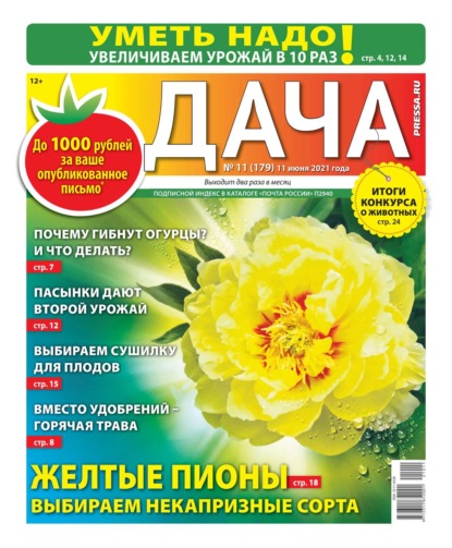 Дача Pressa.ru 11-2021 - Редакция газеты Дача Pressa.ru