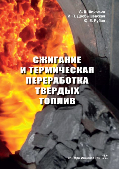 Сжигание и термическая переработка твердых топлив - А. Б. Бирюков