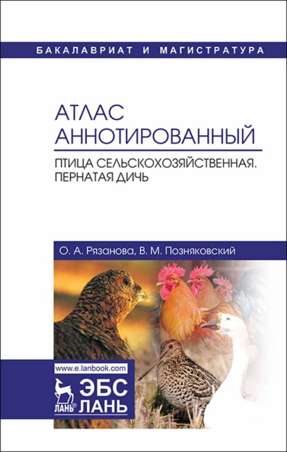 Атлас аннотированный. Птица сельскохозяйственная. Пернатая дичь - В. М. Позняковский