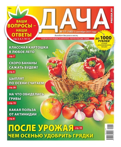 Дача Pressa.ru 17-2021 - Редакция газеты Дача Pressa.ru