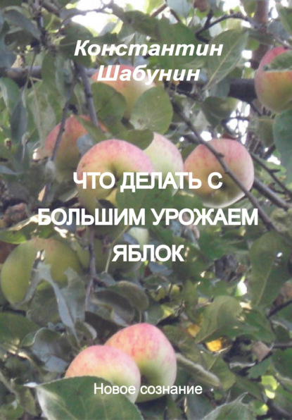 Что делать с большим урожаем яблок? — Константин Шабунин