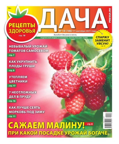 Дача Pressa.ru 18-2021 - Редакция газеты Дача Pressa.ru