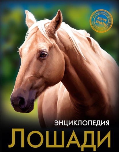 Лошади - Леся Калугина