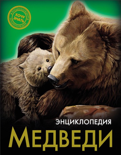 Медведи - Ярослава Соколова