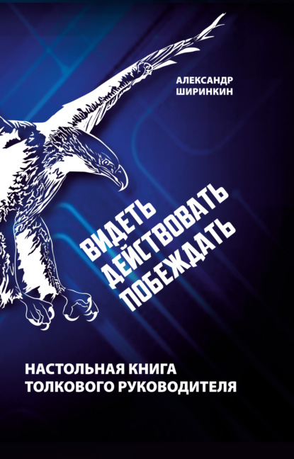 Видеть. Действовать. Побеждать. Настольная книга толкового руководителя - Александр Ширинкин