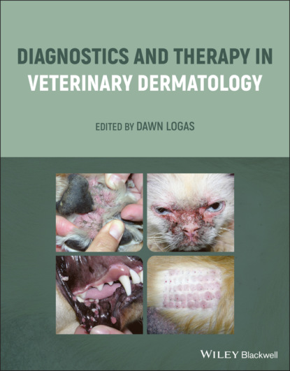 Diagnostics and Therapy in Veterinary Dermatology — Группа авторов