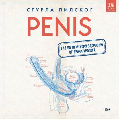 Penis. Гид по мужскому здоровью от врача-уролога - Стурла Пилског