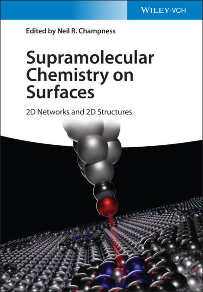 Supramolecular Chemistry on Surfaces - Группа авторов