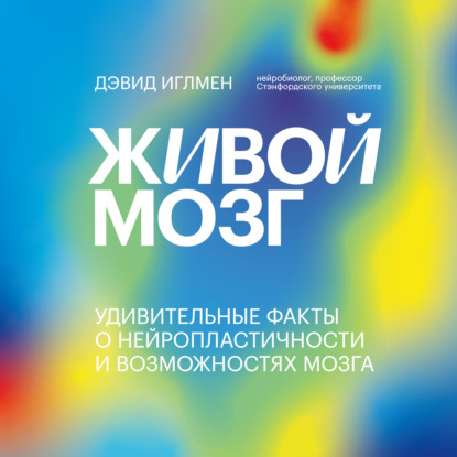 Живой мозг. Удивительные факты о нейропластичности и возможностях мозга — Дэвид Иглмен