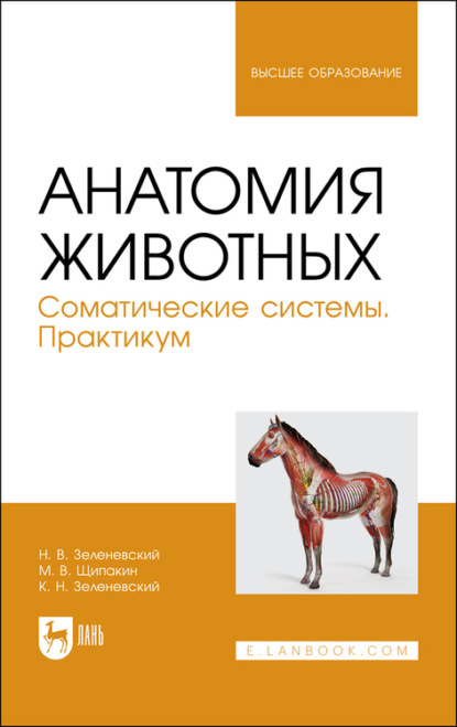 Анатомия животных. Соматические системы. Практикум. Учебное пособие для вузов - Н. В. Зеленевский