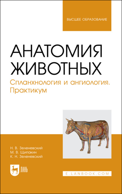 Анатомия животных. Спланхнология и ангиология. Практикум. Учебное пособие для вузов - Н. В. Зеленевский