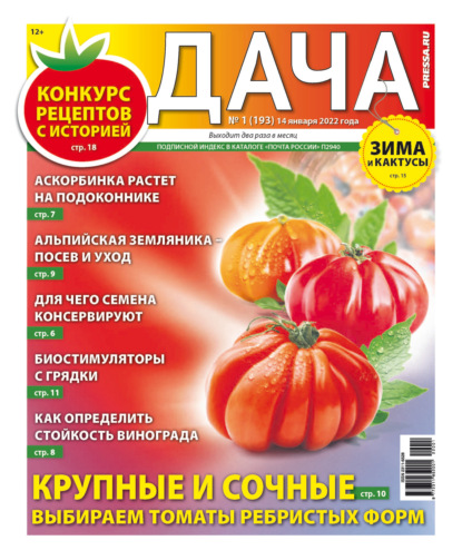 Дача Pressa.ru 01-2022 - Редакция газеты Дача Pressa.ru