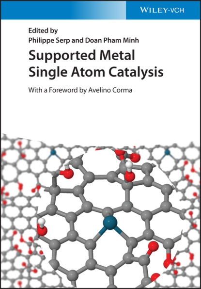 Supported Metal Single Atom Catalysis - Группа авторов