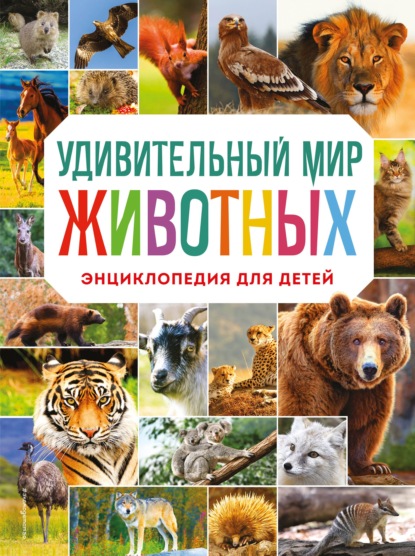 Удивительный мир животных. Энциклопедия для детей - Наталия Баранова