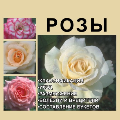 Розы - И. Е. Гусев