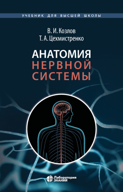 Анатомия нервной системы - В. И. Козлов