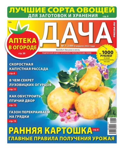 Дача Pressa.ru 07-2022 - Редакция газеты Дача Pressa.ru