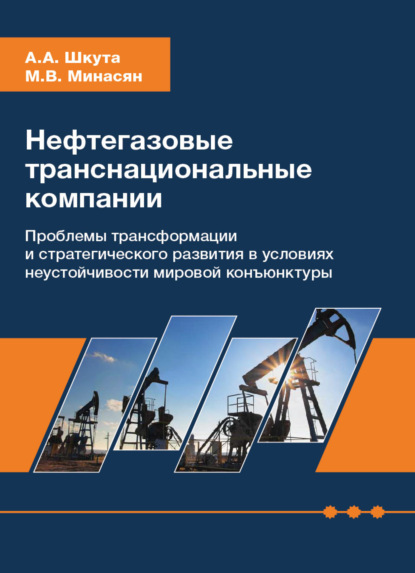 Нефтегазовые транснациональные компании. Проблемы трансформации и стратегического развития в условиях неустойчивости мировой конъюнктуры — А. А. Шкута