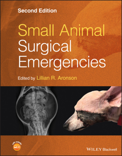 Small Animal Surgical Emergencies - Группа авторов