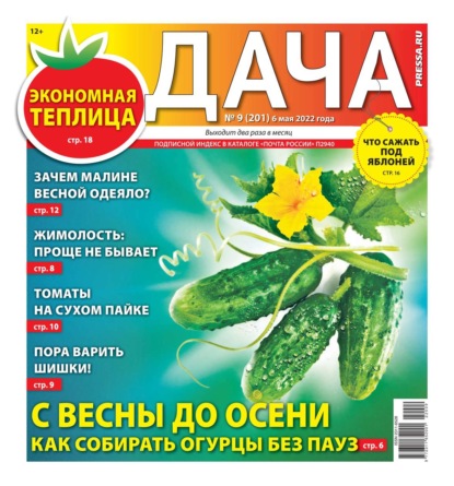 Дача Pressa.ru 09-2022 - Редакция газеты Дача Pressa.ru