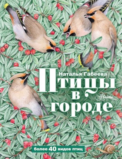 Птицы в городе — Наталья Габеева